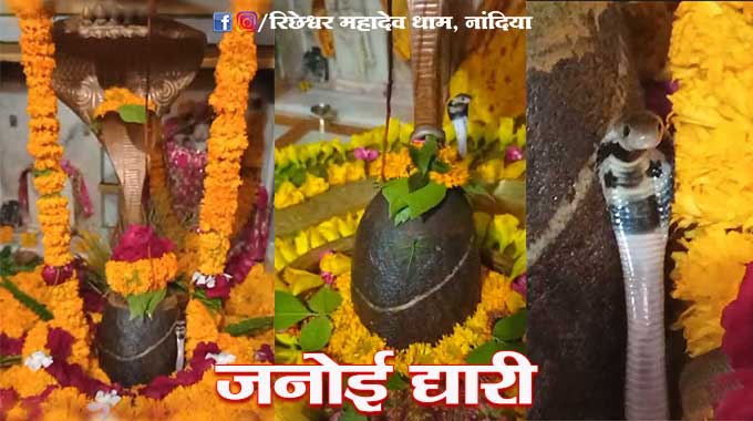 Richheshwar-mahadev-janoi-dhari-shivling